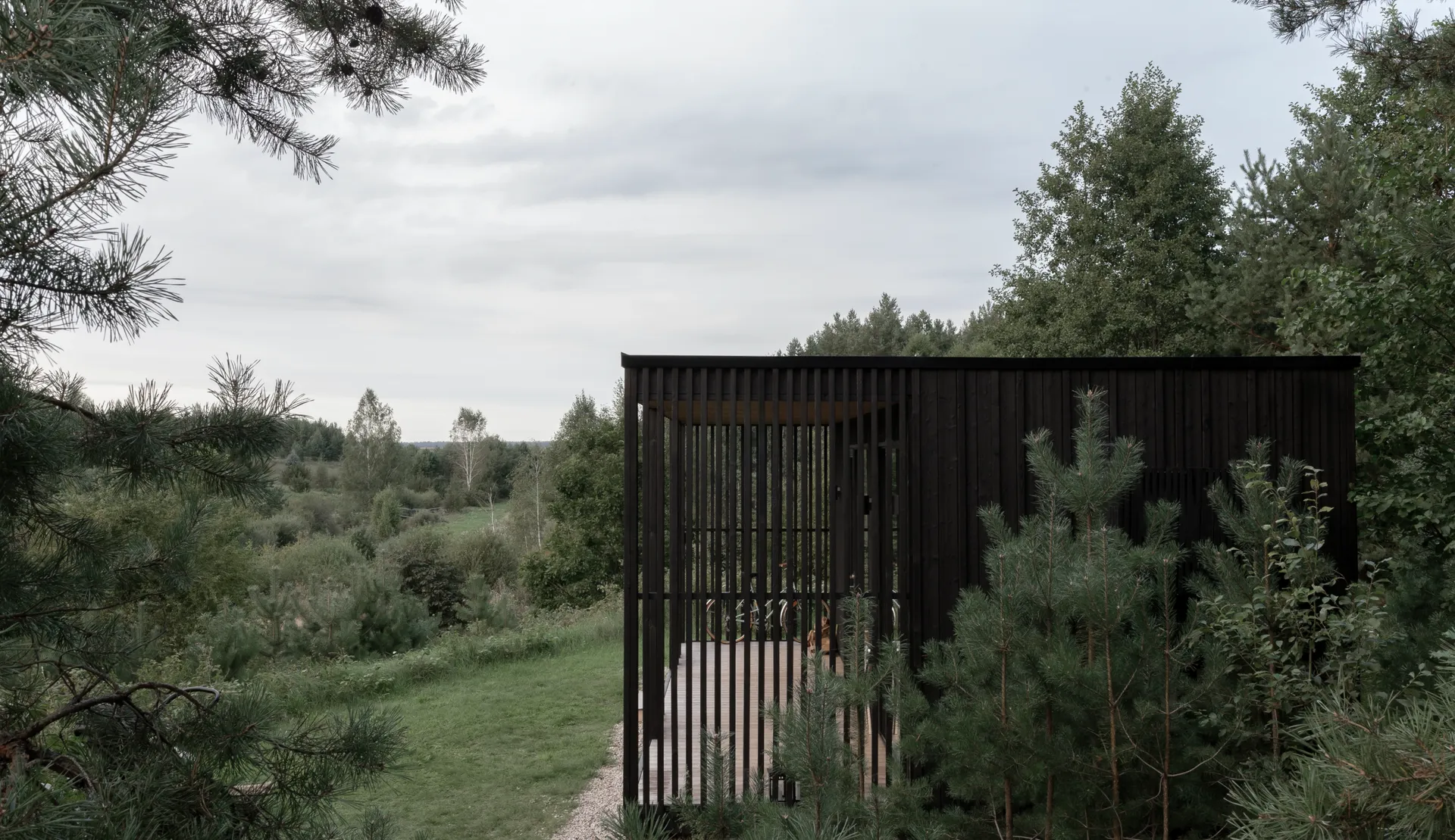 Konga cabin among young pines